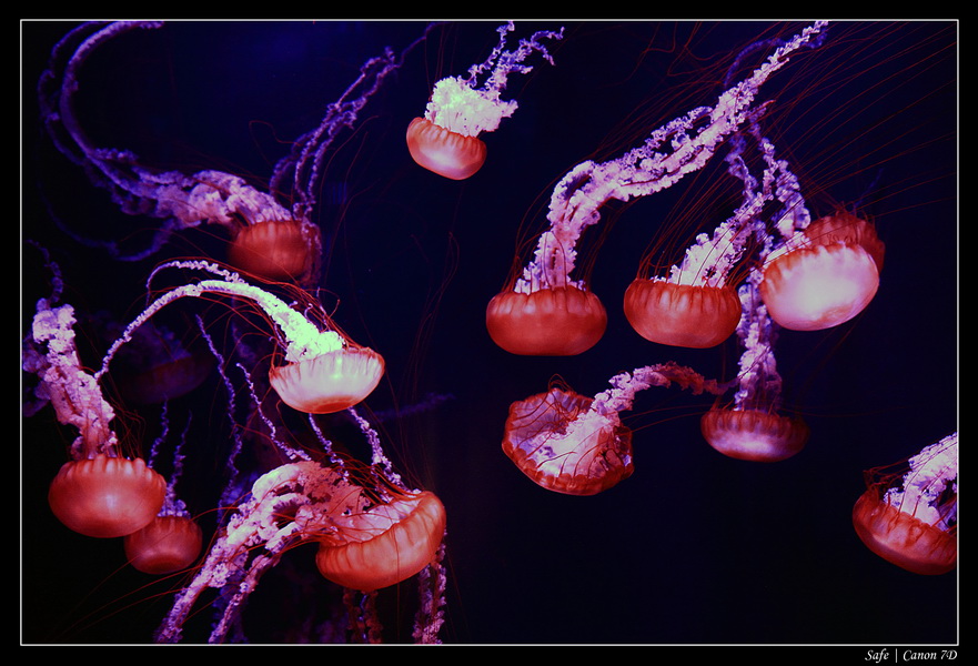 2012 - 06 - Dubai - 055